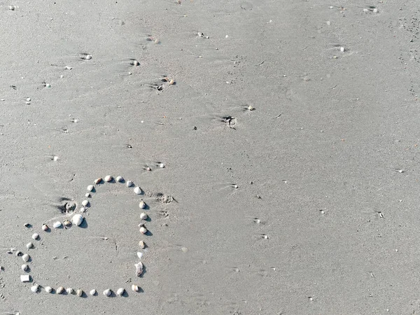 Primo Piano Conchiglia Mare Rendere Disposti Cuori Forma Sulla Spiaggia — Foto Stock