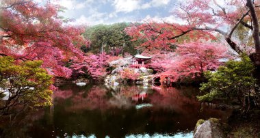 Sonbaharda renkli akçaağaç ağaçları olan Daigo-ji Tapınağı, Kyoto, Japonya