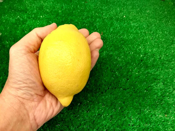 Closeup and crop giant lemon on hand and blurred green grass background