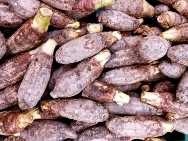 Kapatın ve taro kök arkaplan ve dokuyu kırpın.