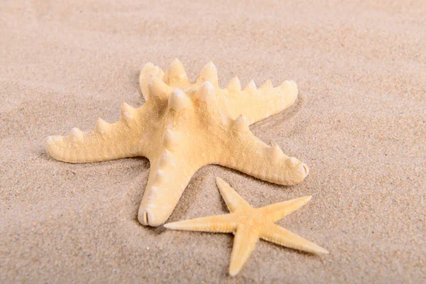 Twee gele zeester op schoon zand — Stockfoto