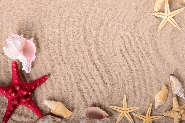 Starfish and seashells on clean sand — Stock Photo, Image