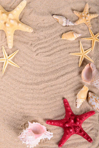 Starfish and seashells on clean sand — Stock Photo, Image