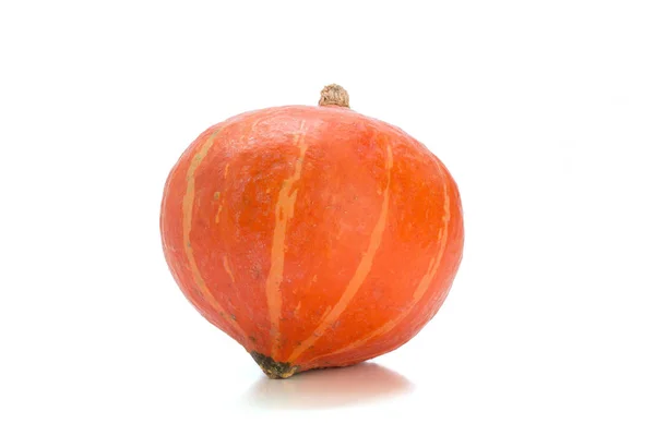 Oranje pompoen — Stockfoto