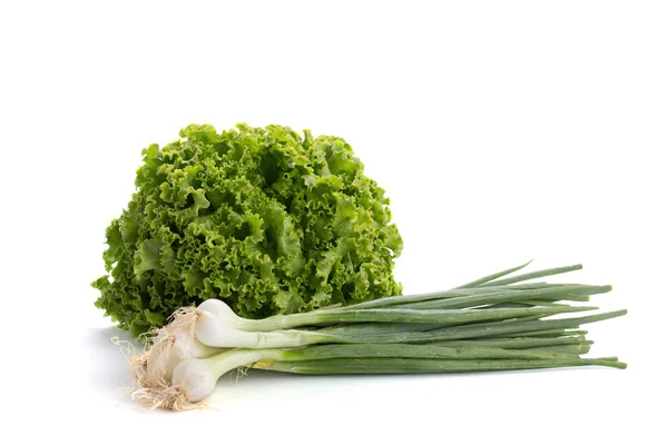 Salat Und Zwiebeln Auf Weißem Hintergrund — Stockfoto