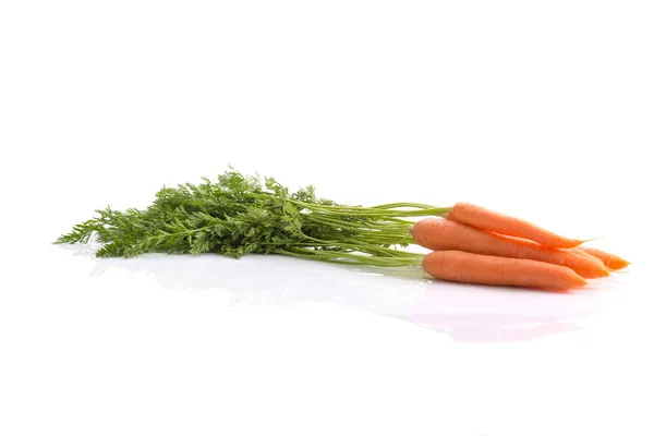 Wortel dengan sayuran — Stok Foto