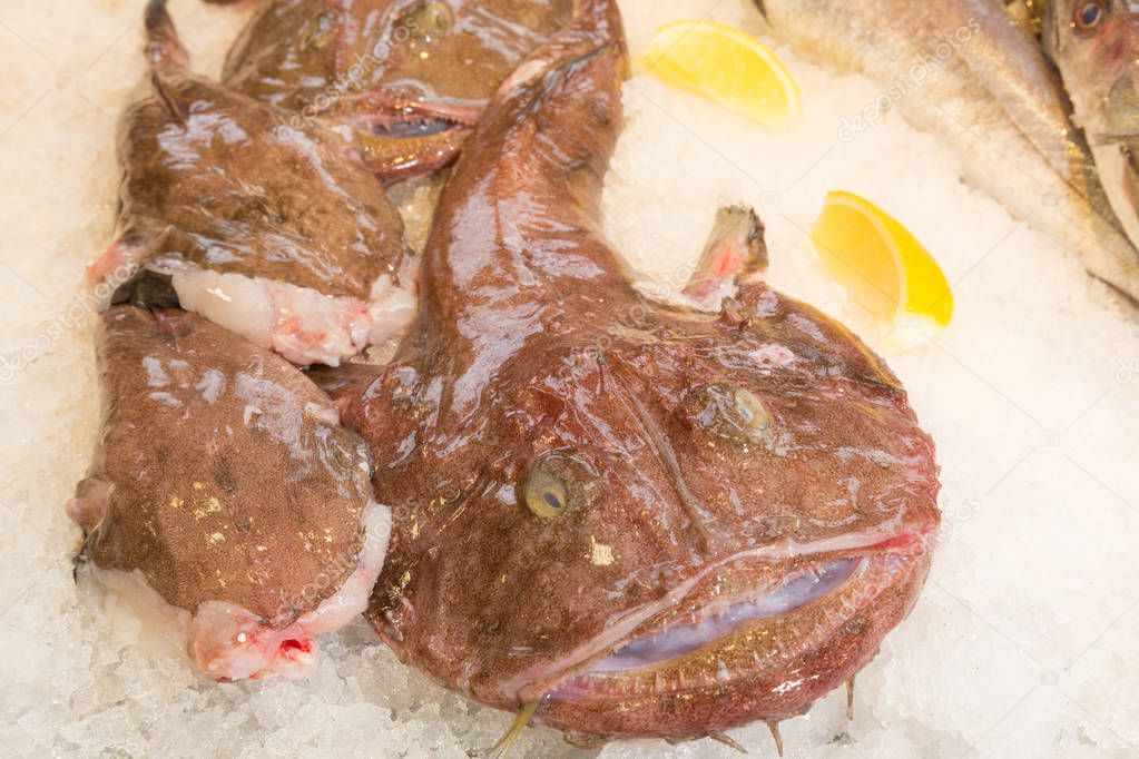 Fresh monkfish at a fishmonger