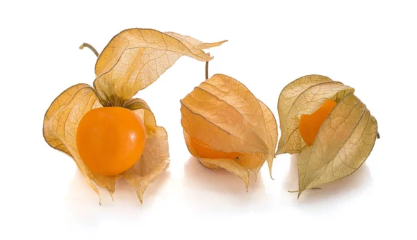 Plusieurs physalis recouverts de leur calice — Photo