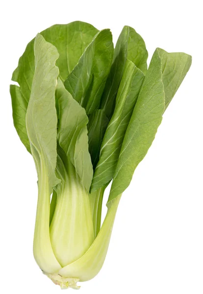 Raw Pak Choy Cabbage White Background — Stock Photo, Image