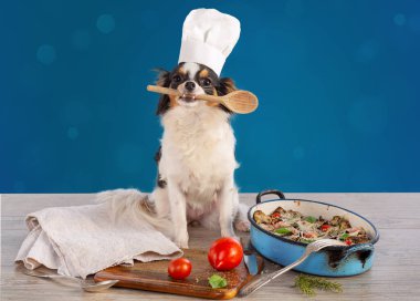 Tahta kaşıklı Chihuahua, aşçı şapkası ve sebze rendesi.