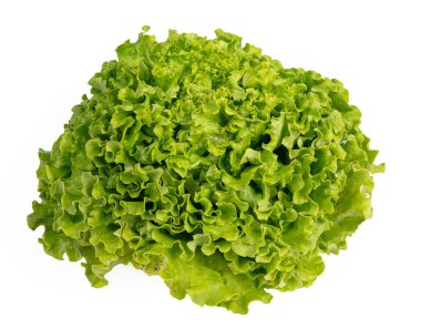 Beyaz arka planda taze batavya salatası