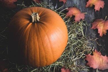 Büyük kırsal dekoratif portakal kabağı kırsal ahşap arka planda kırsal saman ve sonbahar yaprakları şükran günü veya cadılar bayramı için bayram dekoru olarak kullanılıyor..