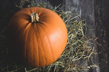 Büyük kırsal dekoratif portakal kabağı kırsal ahşap arka planda ve kırsal saman şükran günü veya cadılar bayramı için bayram dekoru olarak kullanılıyor.