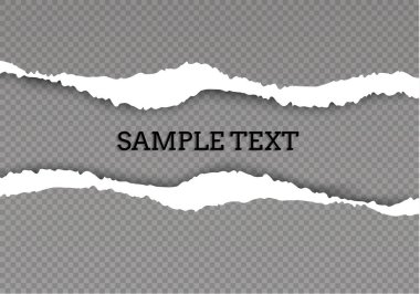 Metin, vektör sanatı ve illüstrasyon için alanı olan pürüzsüz yırtık kağıt ve şeffaf arkaplan.