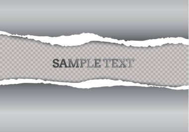 Metin, vektör sanatı ve illüstrasyon için alanı olan pürüzsüz yırtık kağıt ve şeffaf arkaplan.