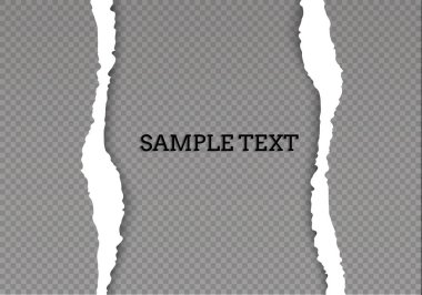 Metin, vektör sanatı ve illüstrasyon için alanı olan pürüzsüz yırtık kağıt ve şeffaf arkaplan.