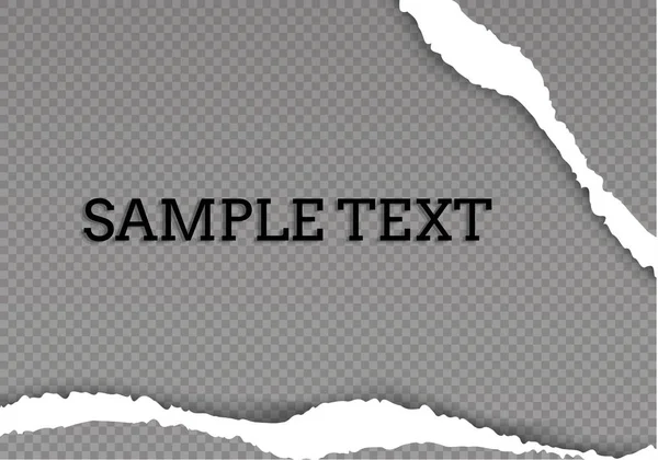 Metin, vektör sanatı ve illüstrasyon için alanı olan pürüzsüz yırtık kağıt ve şeffaf arkaplan.