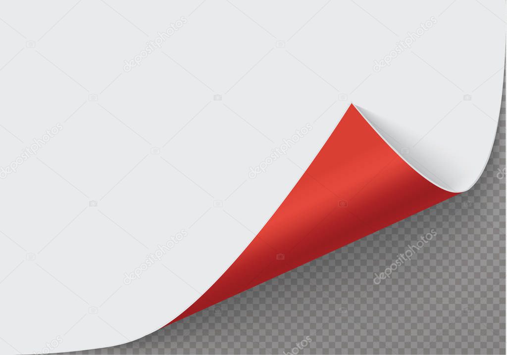 Page curl with shadow on a blank sheet of paper, design element for advertising and promotional message isolated on white background. EPS 10 vector illustration.