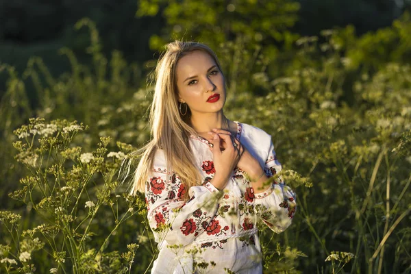 Ritratto di una bella donna ucraina che indossa abiti tradizionali vyshyvanka — Foto Stock