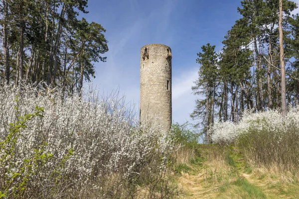 View of a medieval guard tower in Warburg Calenberg, Germany