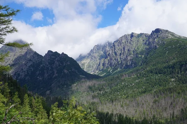 Natur slowakische Tatra — Stockfoto