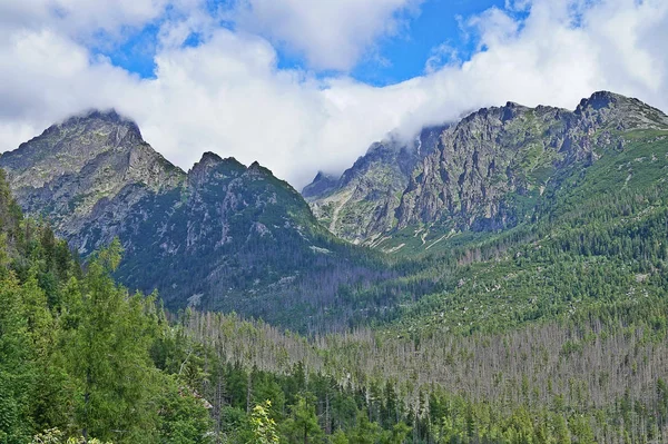 Natur slowakische Tatra — Stockfoto