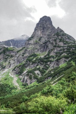 Doğa Taras Slovakya