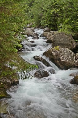 Doğa Tatras Slovakya