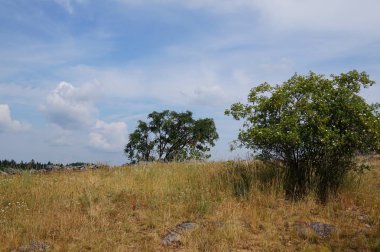 arka plan doğa fotoğraf