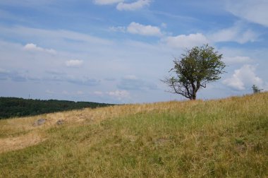 arka plan doğa fotoğraf