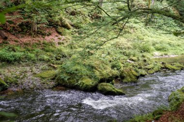 Bad Schandau - Nature