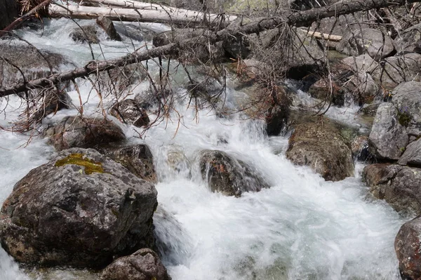 Natur slowakische Tatra — Stockfoto