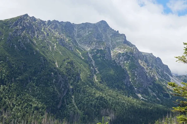 Natur slowakische Tatra — Stockfoto