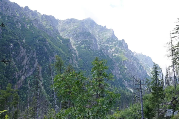 Natur slowakische Tatra — Stockfoto