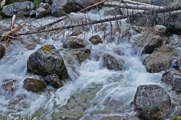 Natur slowakische Tatra — Stockfoto