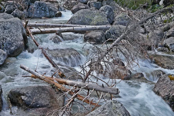 Nature Slovakia Tatras — Stock Photo, Image