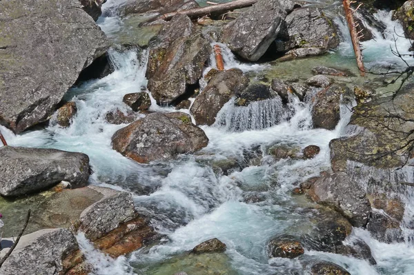 Natur slowakische Tatra — Stockfoto