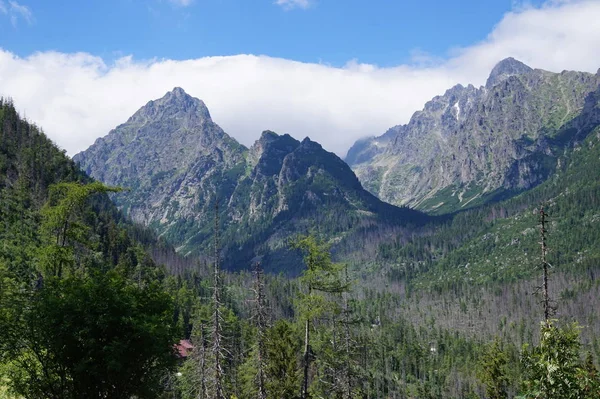 Doğa Slovakya Tatras