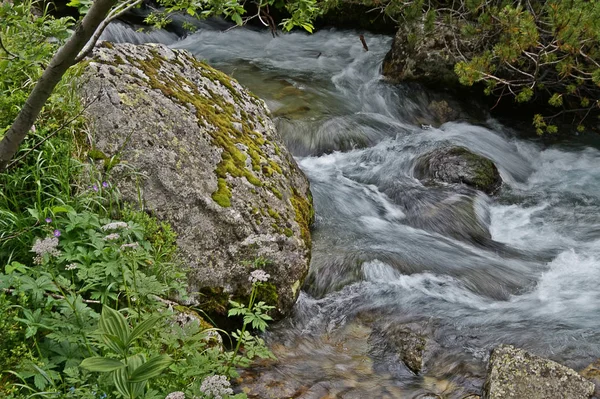 Természet Szlovákiában Tátrában — Stock Fotó