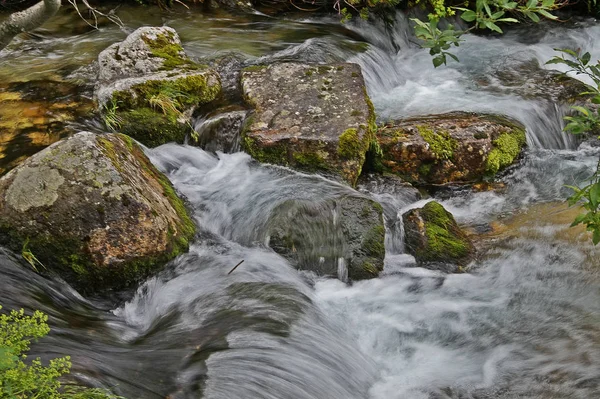 Natur in der slowakischen Tatra — Stockfoto