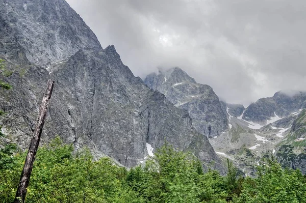 Természet Taras Szlovákia — Stock Fotó