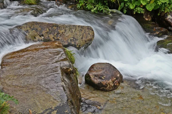 Nature tatras Slovakia — Stock Photo, Image