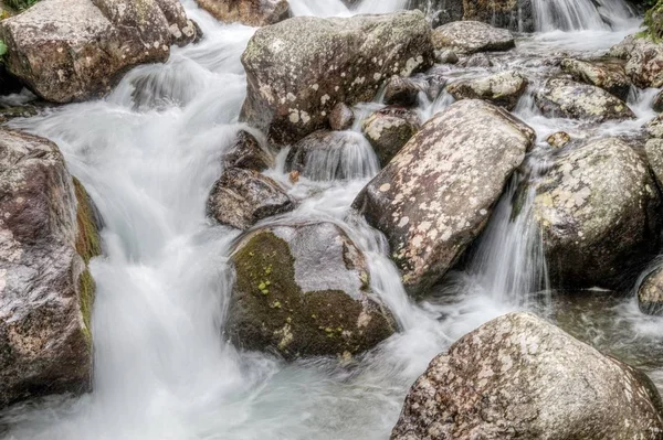 Natura Tatra Slovacchia — Foto Stock