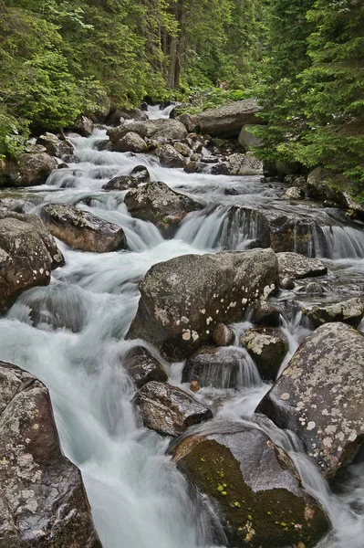 Natur Tatra Slowakei — Stockfoto