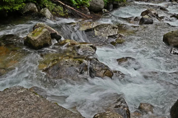 Φύση Tatras Σλοβακία — Φωτογραφία Αρχείου