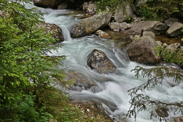 Natur Tatra Slowakei — Stockfoto