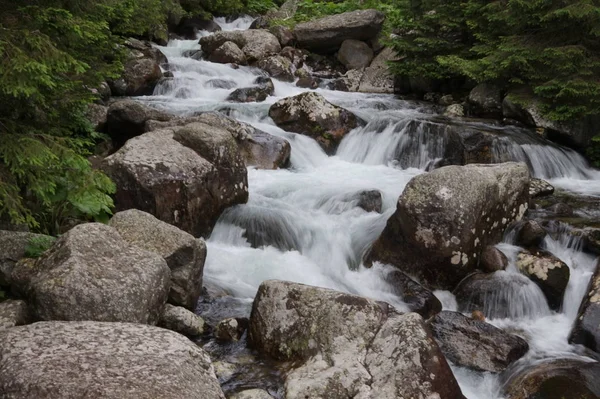 Natur Tatra Slowakei — Stockfoto