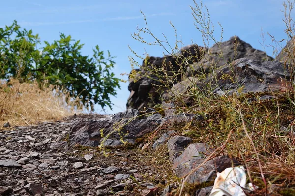 arka plan doğa fotoğraf