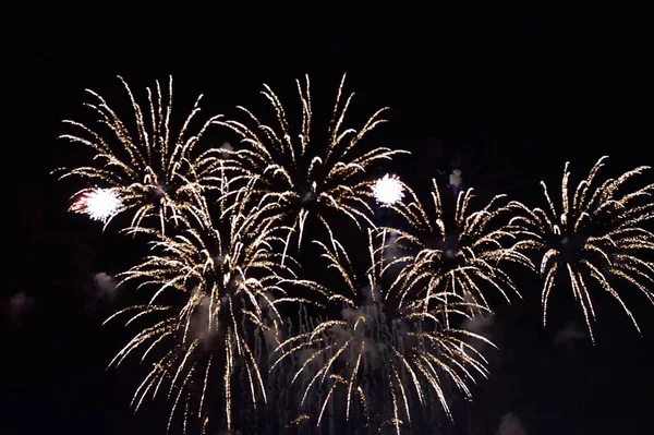 güzel yeni yıl havai fişek uygun bir arka plan veya soyut olarak