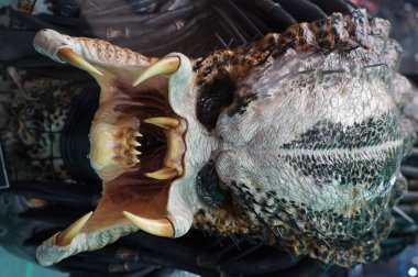 Alien vs Predator. Prag 30.3.2018 Film Müzesi efsanelerde.